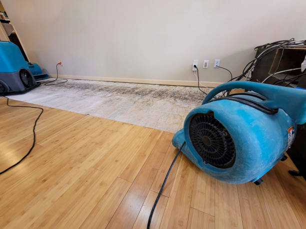 Professional Basement Flood Cleanup technician working in Twin Lakes, CO